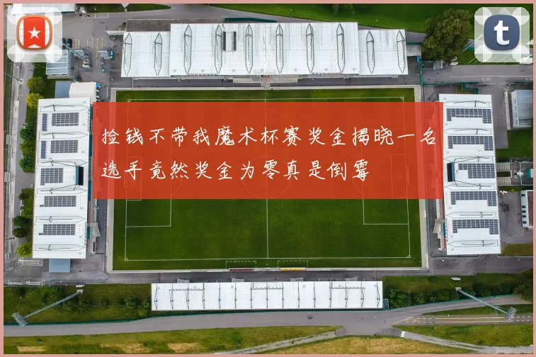 捡钱不带我魔术杯赛奖金揭晓一名选手竟然奖金为零真是倒霉